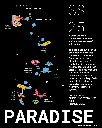 paradise-black-25tsbf6-bk-xs-599674.png