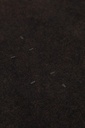 mr-rager-25tsbf7-bk-xs-183266.jpg