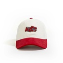 homerun-24dck210-wh-537410.jpg