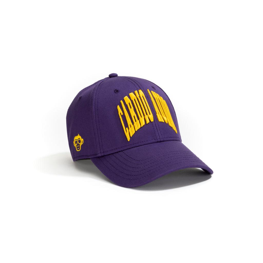 Cardio_Audio_Purple_Baseball_Cap_02.jpg