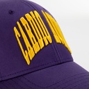 Cardio_Audio_Purple_Baseball_Cap_07.jpg