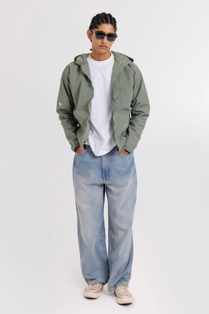 Urban-monkey-6082-590489.jpg
