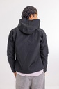 Urban-monkey-6126.jpg