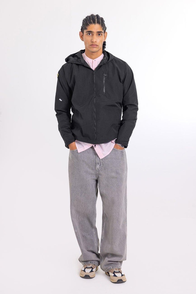 Urban-monkey-6115-625605.jpg