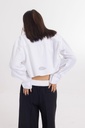 Urban-monkey-5169-957933.jpg