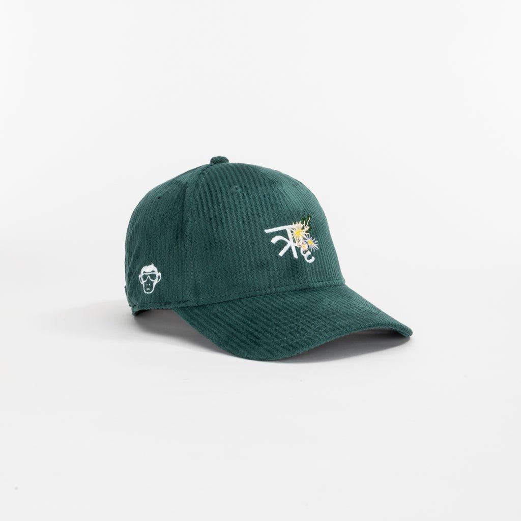 devanagari-cap-01-327776.jpg