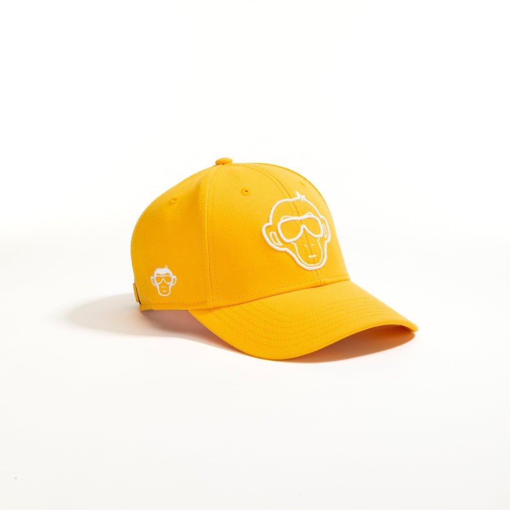 drip-authority-01-302664.jpg