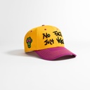 no-face-just-voice-umbc162-ylw-824623.jpg