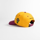 no-face-just-voice-umbc162-ylw-791890.jpg