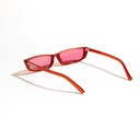 sleek-geek-003-33110-red-480577.jpg