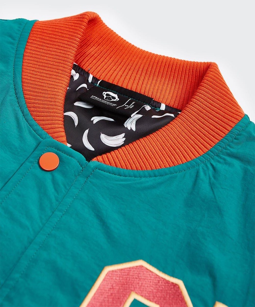 dropout-collar-view-666175.jpg