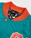 dropout-collar-view-666175.jpg