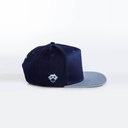 bluesy-right-550608.jpg