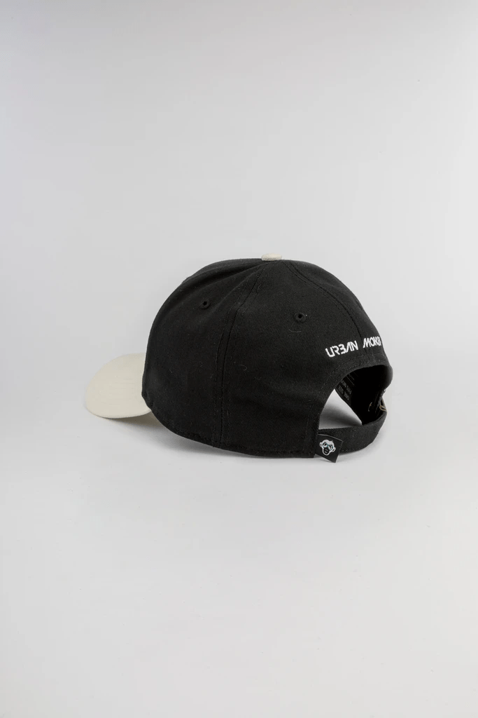 illuminate-back-330541.png