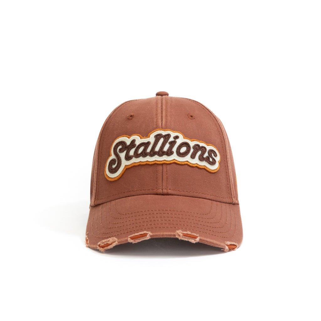 stallions-by-bhaukal-25dcksd004or-3117958.jpg