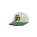 Varsity League